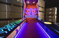 Alley20Bowler 5 1738168546.jpg Alley Bowler Skeeball