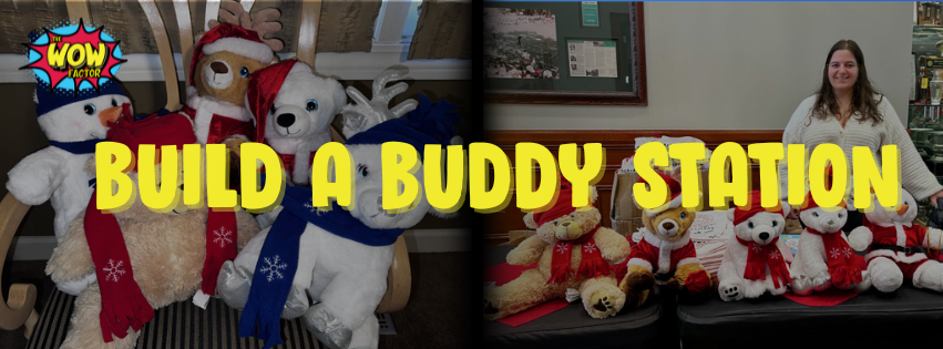 ARCADE GAME RENTALS 25 Build A Buddy Station