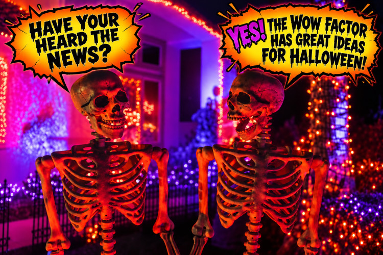 Halloween Attractions